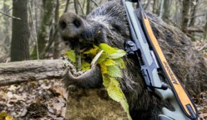 7 novedades de Solognac Decathlon para cazar en montería o batida que puedes comprar desde casa