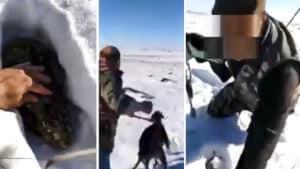 Identifican a los furtivos que se grabaron corriendo una liebre con galgo en la nieve