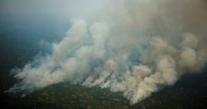 Detenidos cuatro ecologistas por provocar incendios en la Amazonia
