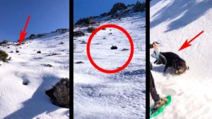 Un jabalí resbala en la nieve y ataca a dos personas