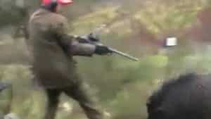 Un jabalí ataca a un cazador por la espalda y este dispara cuando casi le alcanza