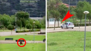 Graban el momento en el que la Policía abre fuego contra un jabalí en un pueblo de Navarra