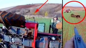 Cúmulo de despropósitos: vuelcan un tractor intentando dar caza a un gran jabalí