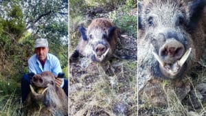 El cazador que sufrió cuatro ictus abate en mano un enorme jabalí de 140 kilos