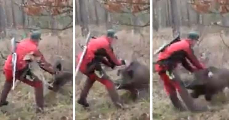 Un jabalí ataca brutalmente a un cazador que lleva el rifle descargado y a la espalda