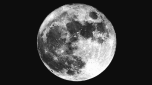 Hoy es la 'Superluna' de marzo, la mejor noche para cazar jabalíes en espera