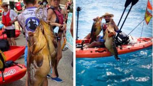 Pesca a jigging un enorme mero de más de 30 kilos en Alicante después de siete meses tras él
