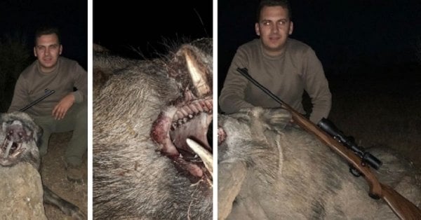 Este joven caza su primer jabalí en espera... ¡y le toca el gordo!