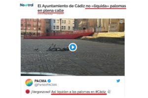 La agencia de Ana Pastor desmonta otra noticia falsa de PACMA