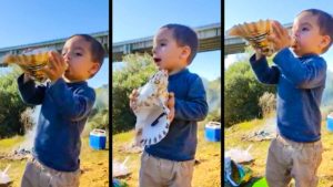 Este niño de 20 meses que toca la caracola para llamar a sus perros de caza arrasa en las redes