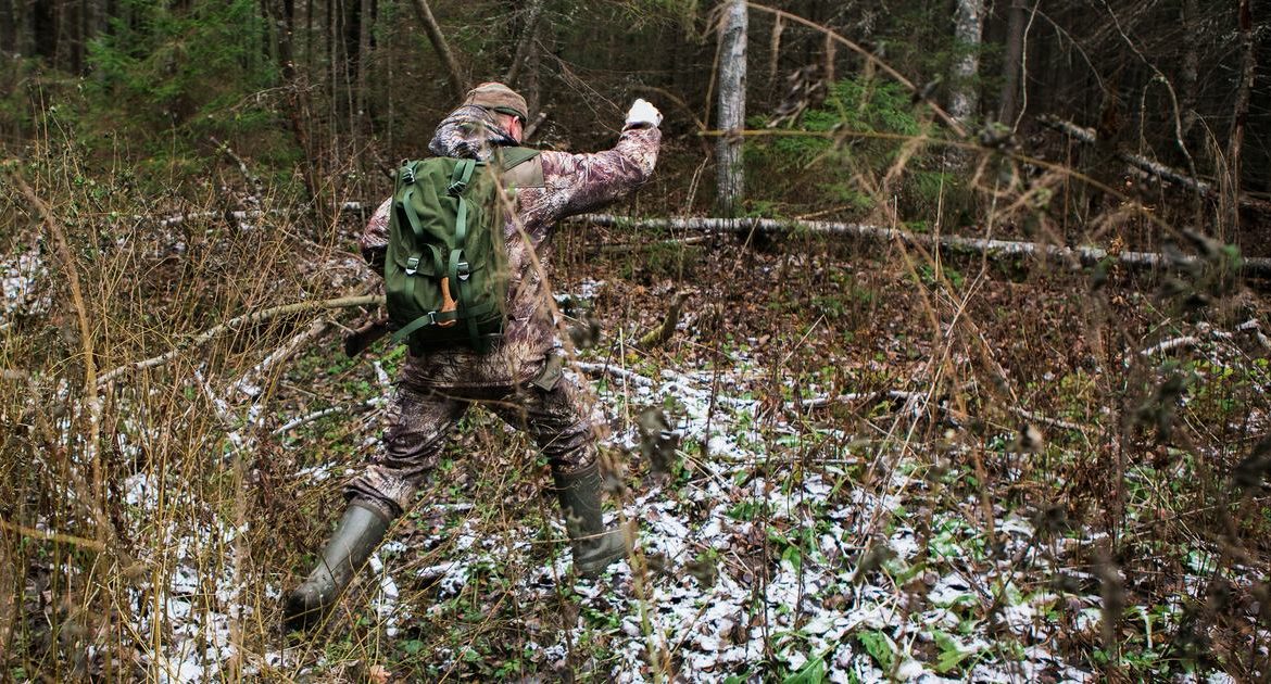 Nueve lecciones que aporta la caza a nuestra vida diaria