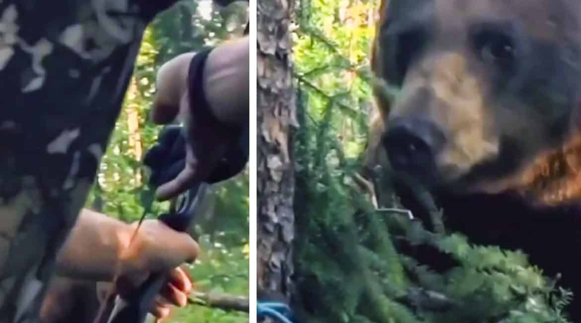Un oso se para a sólo unos centímetros de este arquero: en este vídeo puedes ver cómo reaccionó