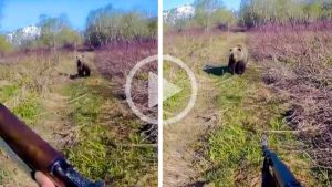 Un oso intenta cazar a un cazador y él reacciona como hay que hacerlo