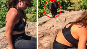 Un oso aparece tras una chica y su reacción asombra a las redes