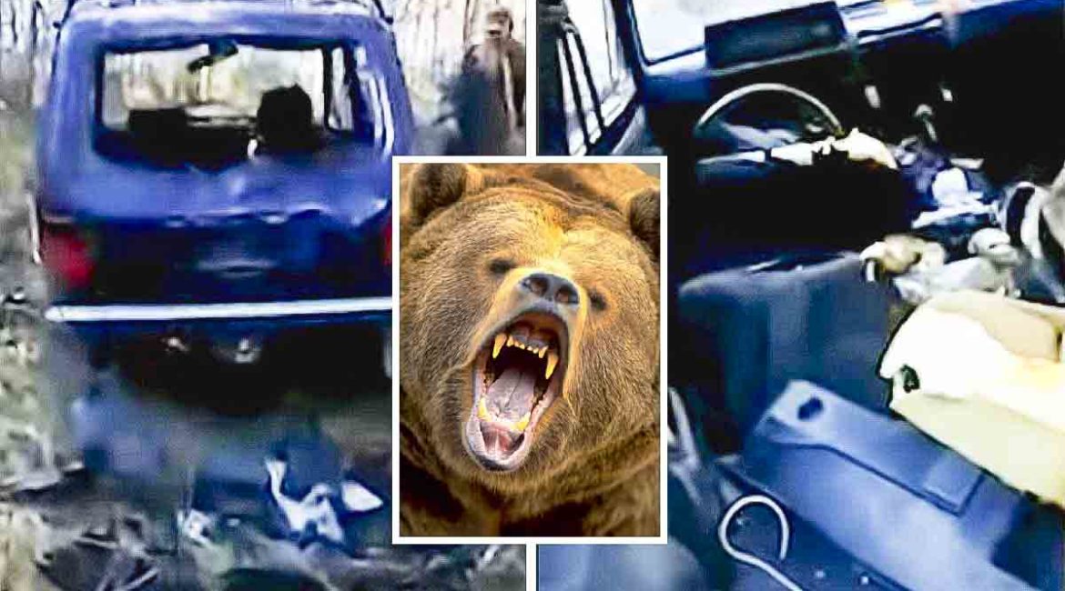 Se van a cazar jabalíes y cuando vuelven un oso ha destrozado su coche
