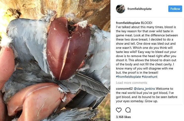 Esta fue la genial respuesta de un cazador tras censurar Instagram la foto de unas piezas a medio desplumar