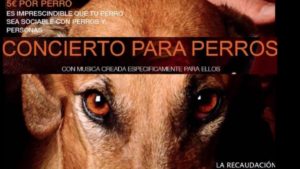 Un Ayuntamiento de Valencia se gasta casi 8.000 euros en un concierto para perros