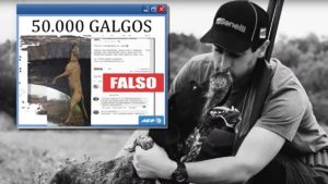 Indignación en el sector cinegético por la censura de Facebook a un documental sobre el abandono de perros de caza