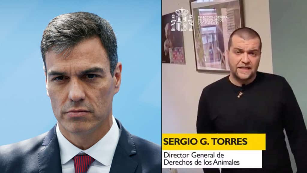 Pedro Sánchez y Sergio García Torres. © Shutterstock y Twitter
