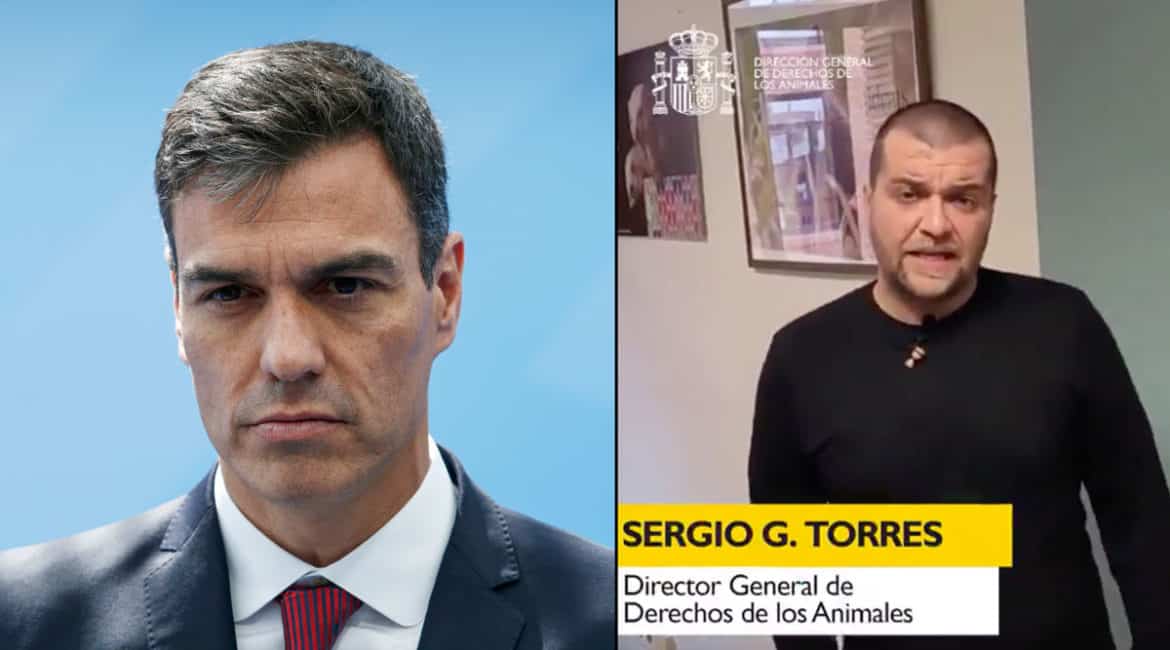 Pedro Sánchez y Sergio García Torres. © Shutterstock y Twitter
