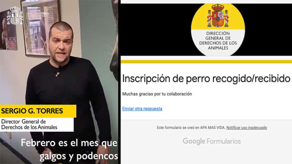 Sergio García Torres junto a una imagen del formulario. © Twitter