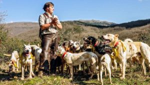 Agricultura flexibilizará las obligaciones a los perros peligrosos usados para caza, guardia y manejo del ganado