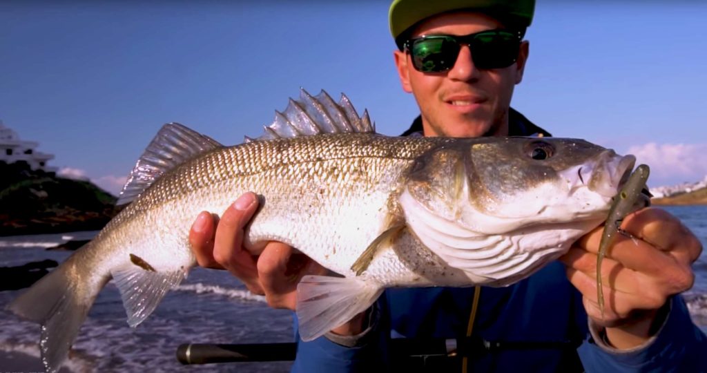 El youtuber Sam Bosch, creador del canal de YouTube Lured Fishing, con una lubina.