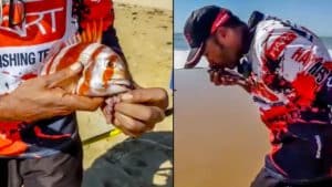 Este es el aplaudido vídeo de un pescador tras capturar a una urta que no da la talla en Cádiz