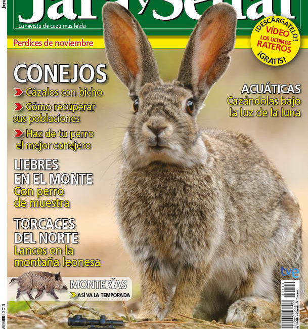 Revista Jara y Sedal – Noviembre 2013 – núm. 144