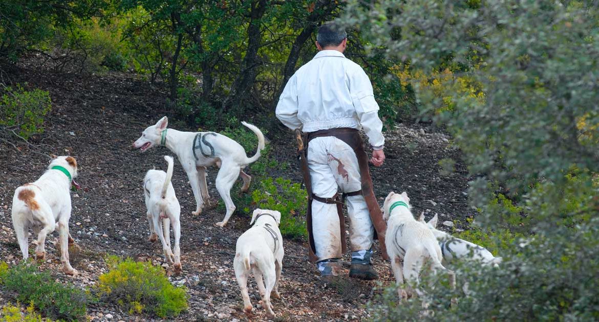Los rehaleros de Madrid podrán enterrar dignamente a sus perros