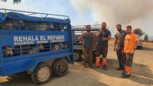 Decenas de cazadores ayudan a un rehalero a salvar a sus 37 perros del incendio de Huelva y después van a combatir las llamas