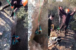 Así rescataron cazadores y rehaleros a un perro que cayó a un pozo en una montería