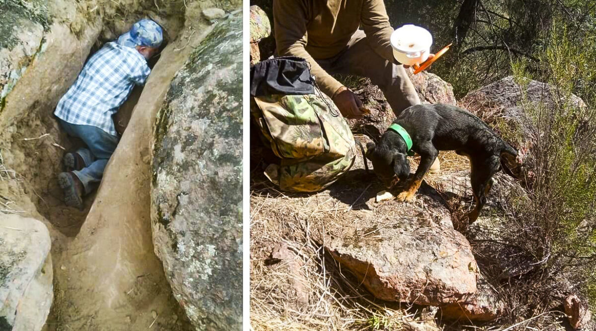 Dos cazadores rescatan a su perro, atrapado 48 horas bajo tierra tras perseguir a un zorro