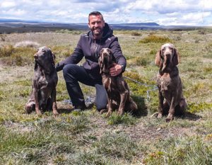 Roban 13 perros de caza a un cazador de Burgos, que hace un llamamiento desesperado de ayuda