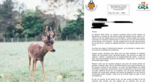 La Federación Catalana denuncia el caso de los animalistas que castraron a un corzo