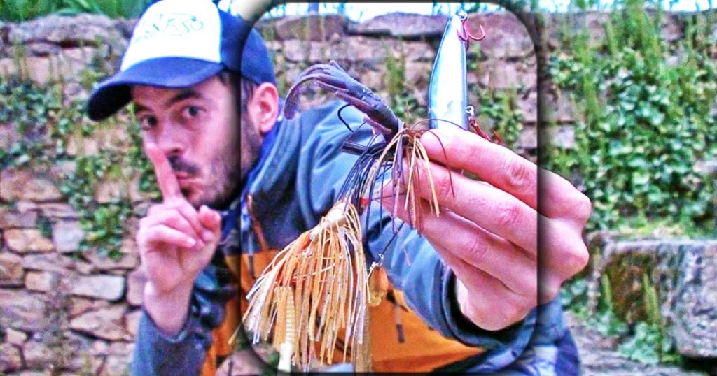 Todo lo que debes saber para pescar con éxito en el cauce de un río