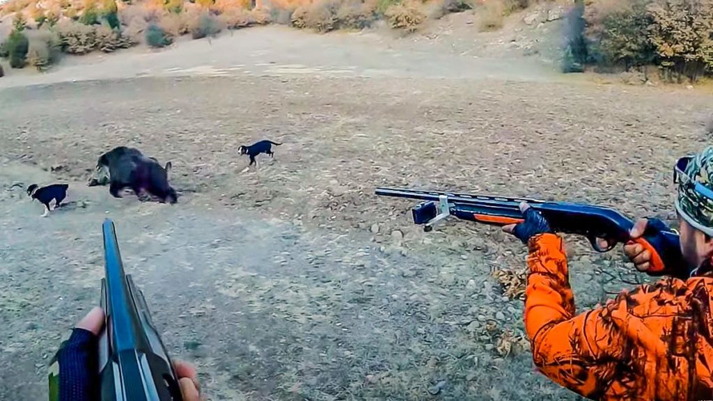 Los dos cazadores apuntan al jabalí entre dos perros. / YouTube