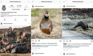 Suplantan la identidad de la Federación de Caza en Instagram con una cuenta falsa