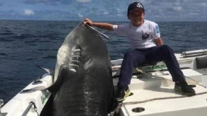 Un niño de 8 años pesca un monstruoso tiburón de 314 kilos