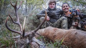 Caza un viejo ciervo con una extraña cuerna en Palencia